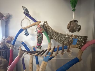 Large Wooden Bird Play Stand/Perch Parrot, Parakeet, Cockatiel