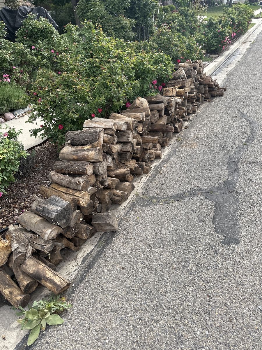 Free firewood