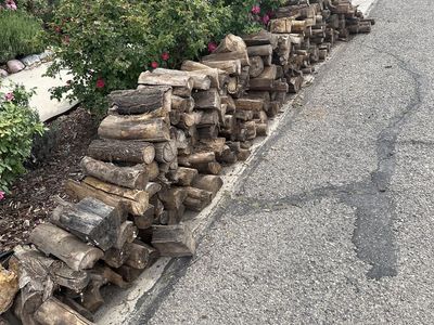 Free firewood