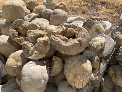 Rock Collection