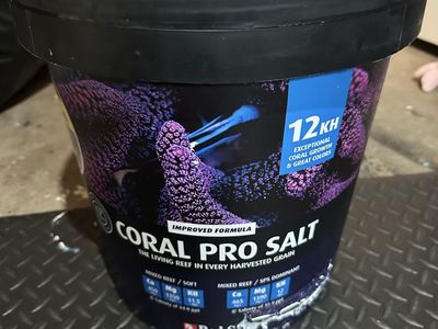 Coral Pro Salt