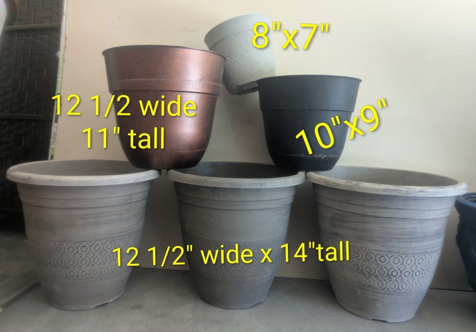 Main image 2