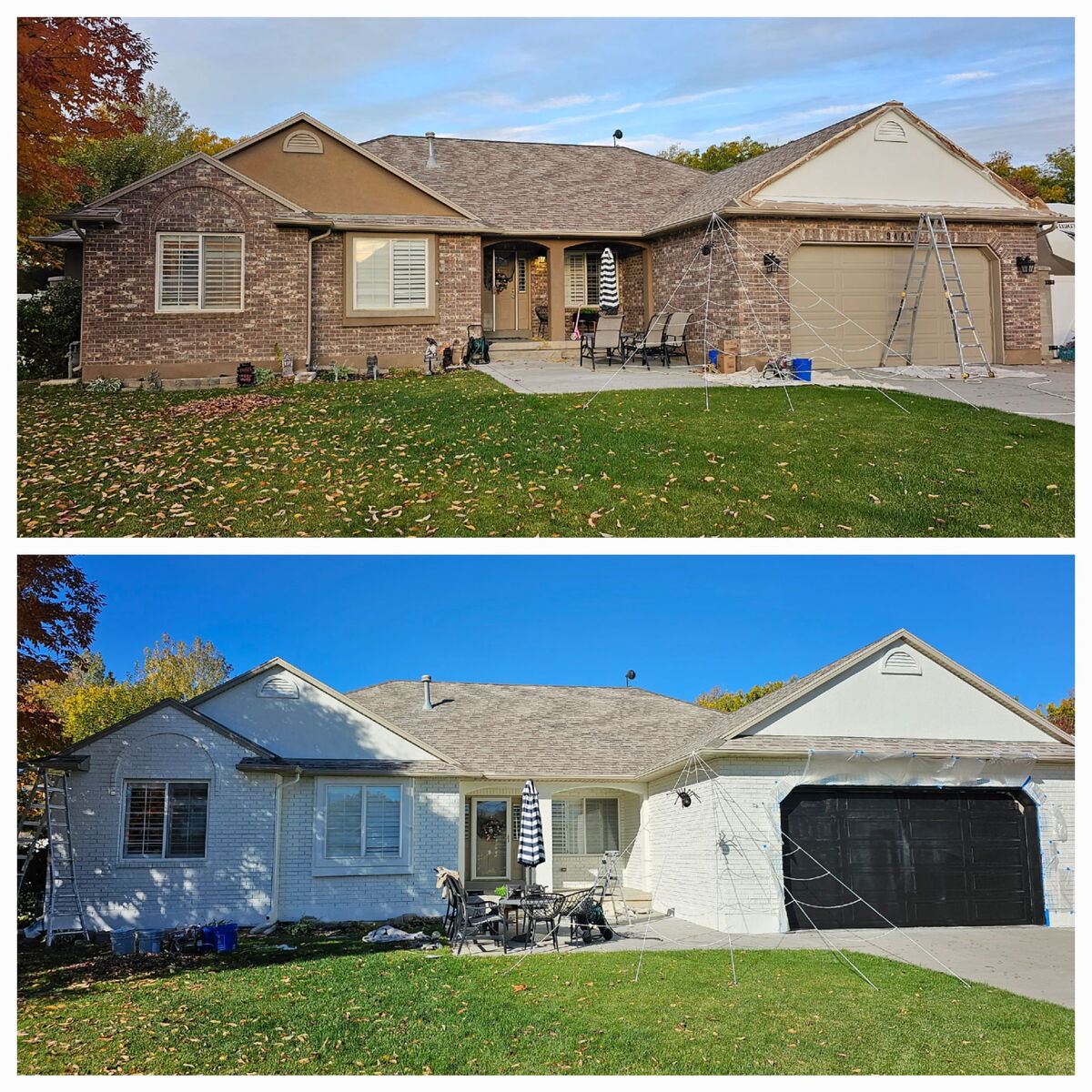 Painter | Home Painter | Professional painter