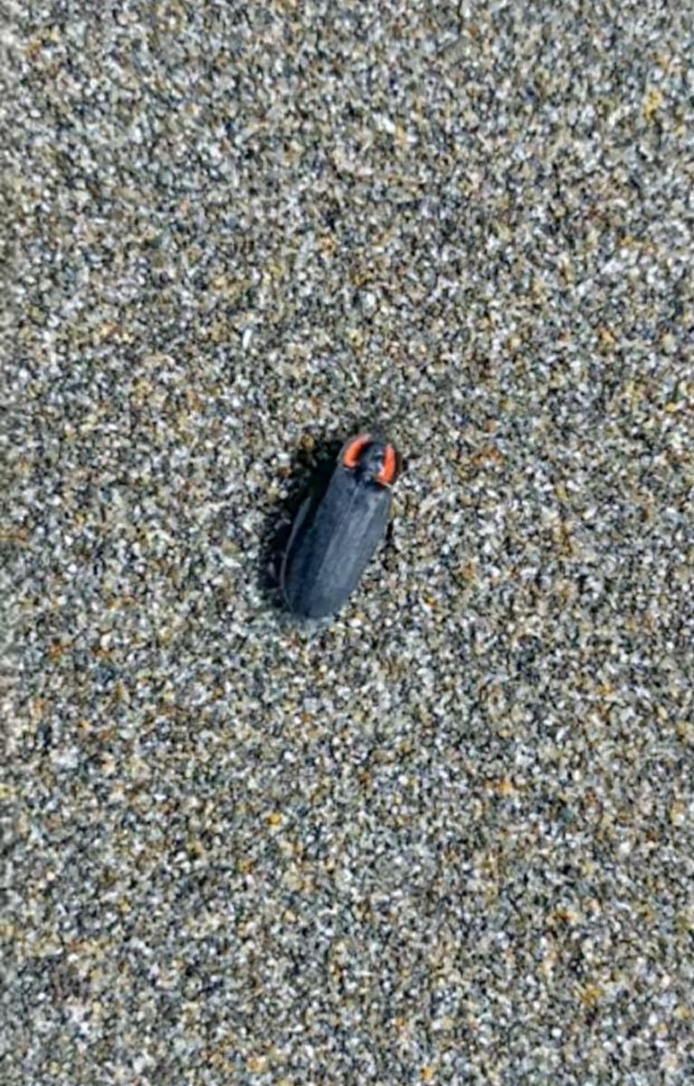 Half Acre, zoned RM in Bountiful