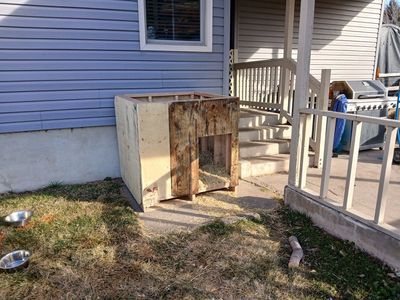 Doghouse for sale-large