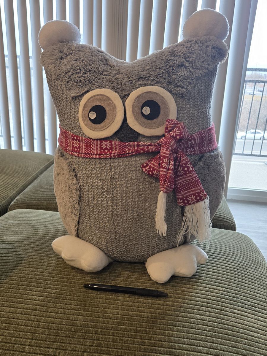 Stuffed Owl