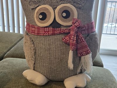 Stuffed Owl