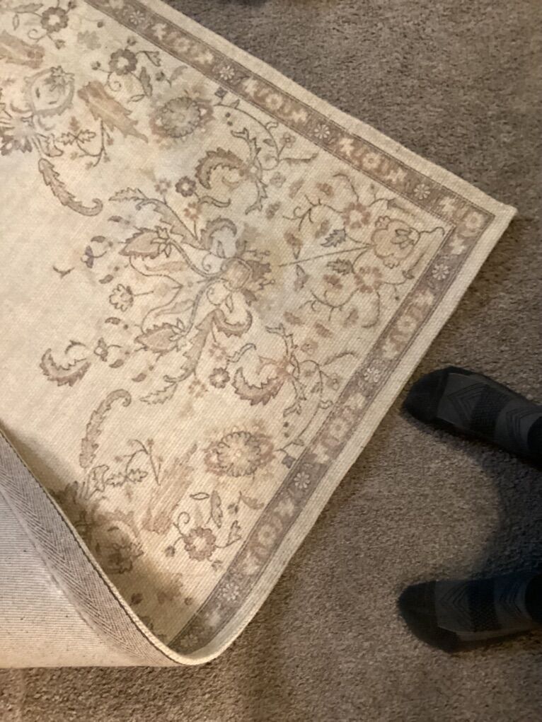 LAUREN LIESS rugs svcv11a 5 x 8 Beige