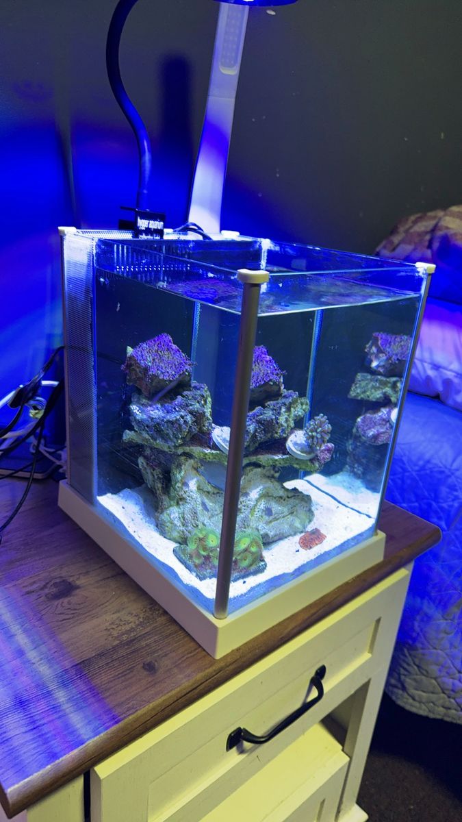 Fluval Spec 2.6 gallon pico reef tank Saltwater complete setup