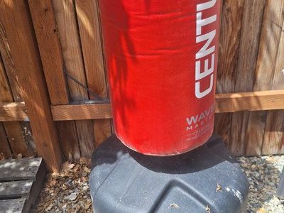 Punching bag