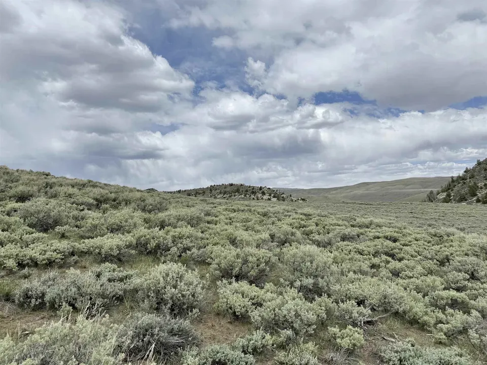 Main image 10