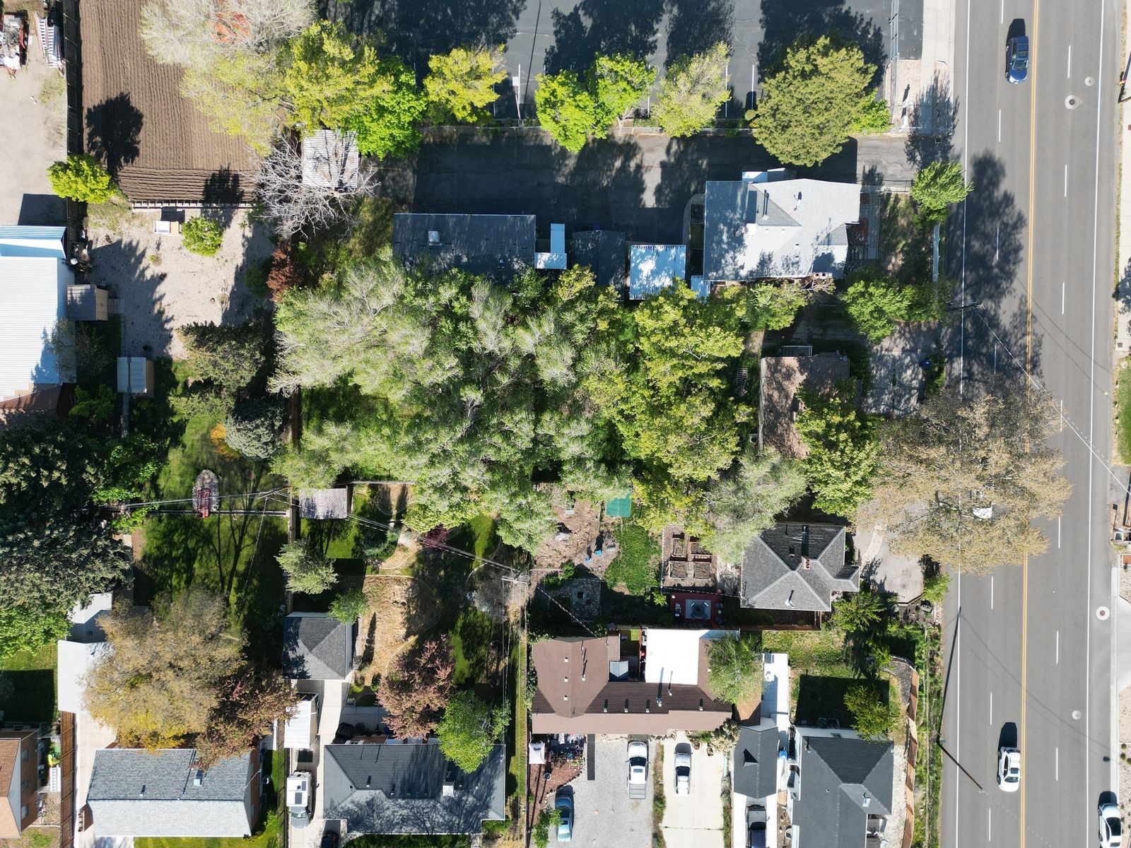 Main image 5