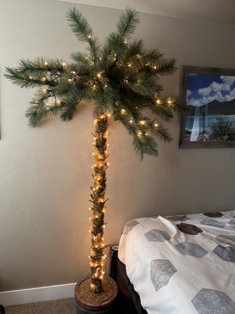 Palm Tree With Lights