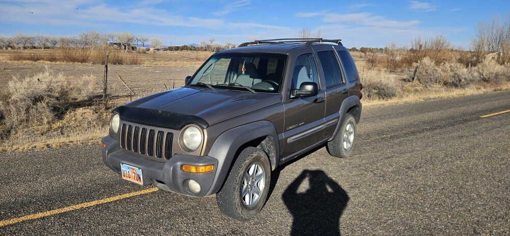 2002 JEEP LIBERTY Sport