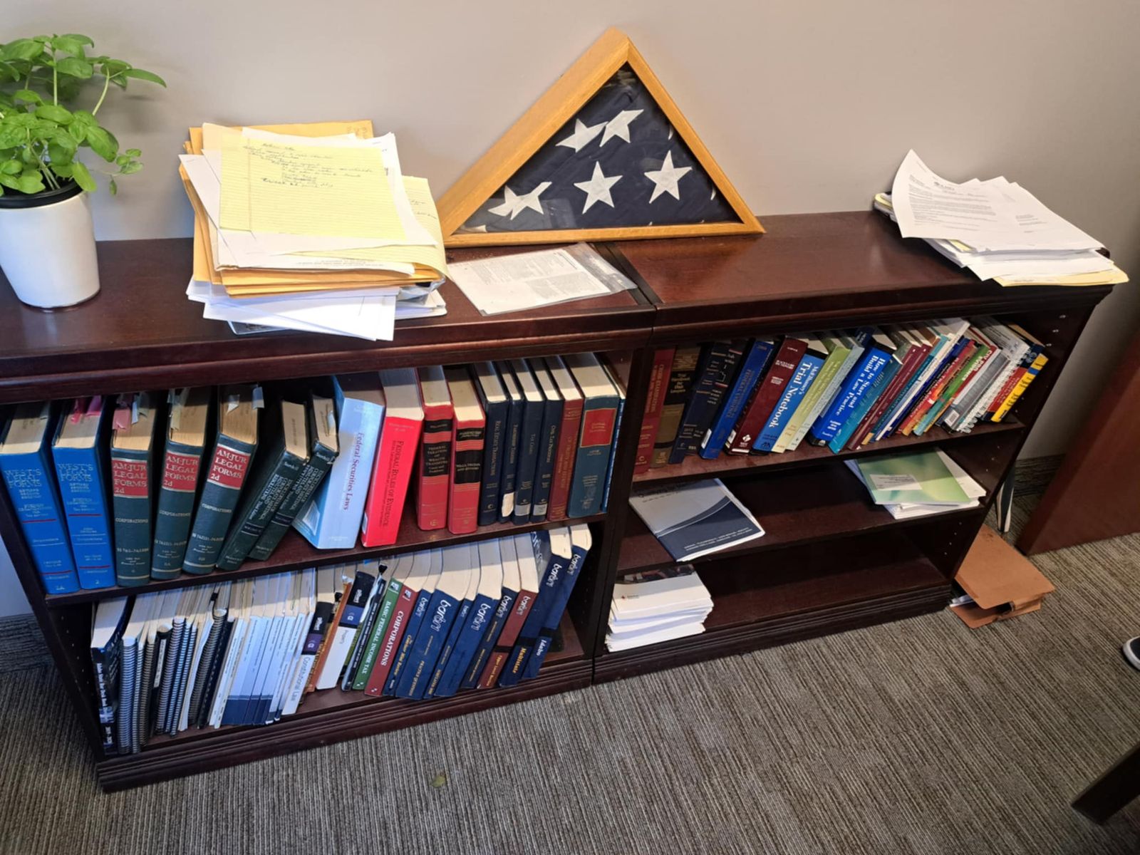 Book shelf at law office
