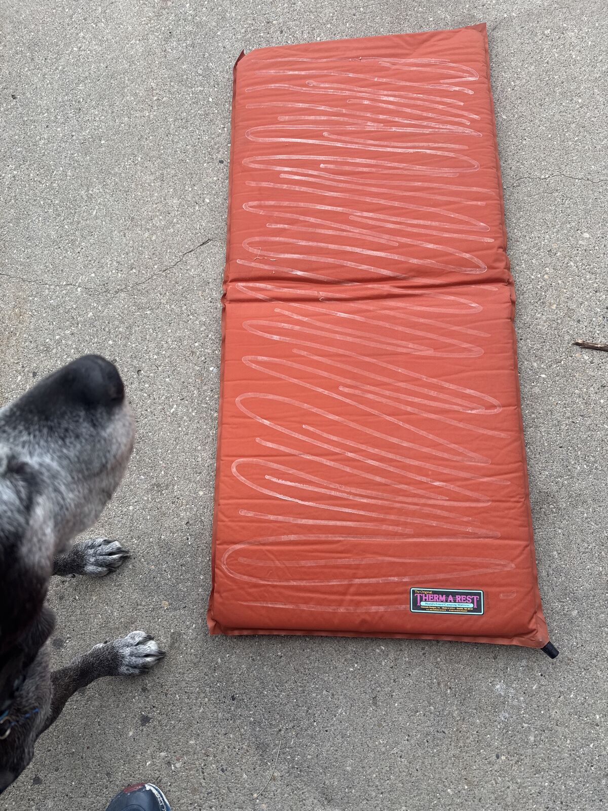 Thermarest Camping Pad