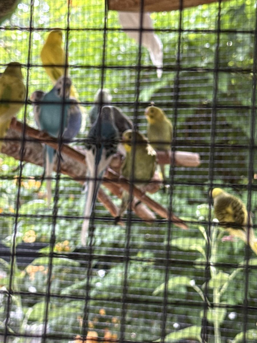 Main image 4