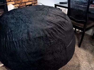 5ft Bean Bag (Like New/Washable cover)