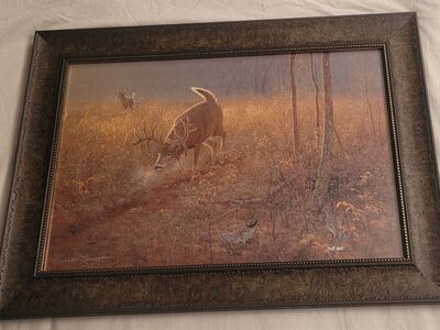 Signed/Autographed Deer and Grouse Pictured Numbered 468/3500