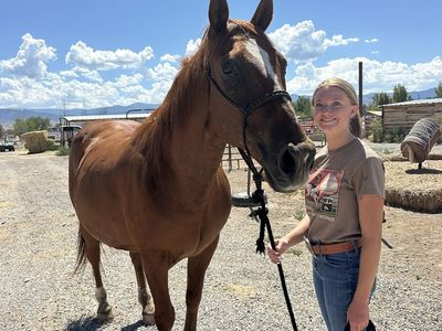 2 horses for sale