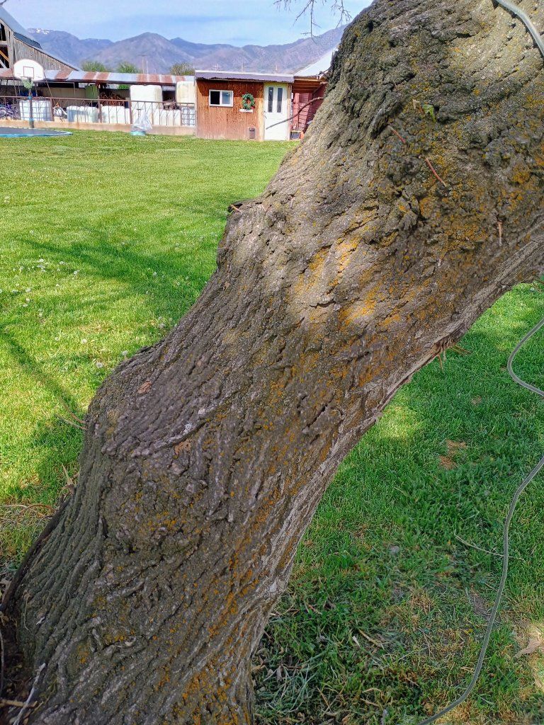 Main image 5