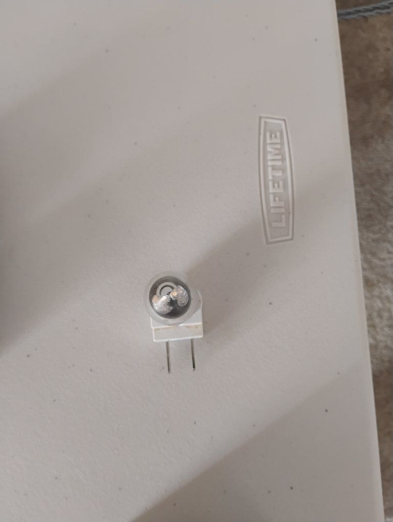 Plug in nightlight