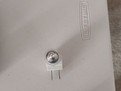 Plug in nightlight