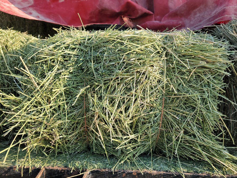 Small Bale Alfalfa/Grass Mix Hay for Sale