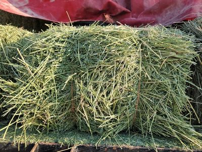 Small Bale Alfalfa/Grass Mix Hay for Sale