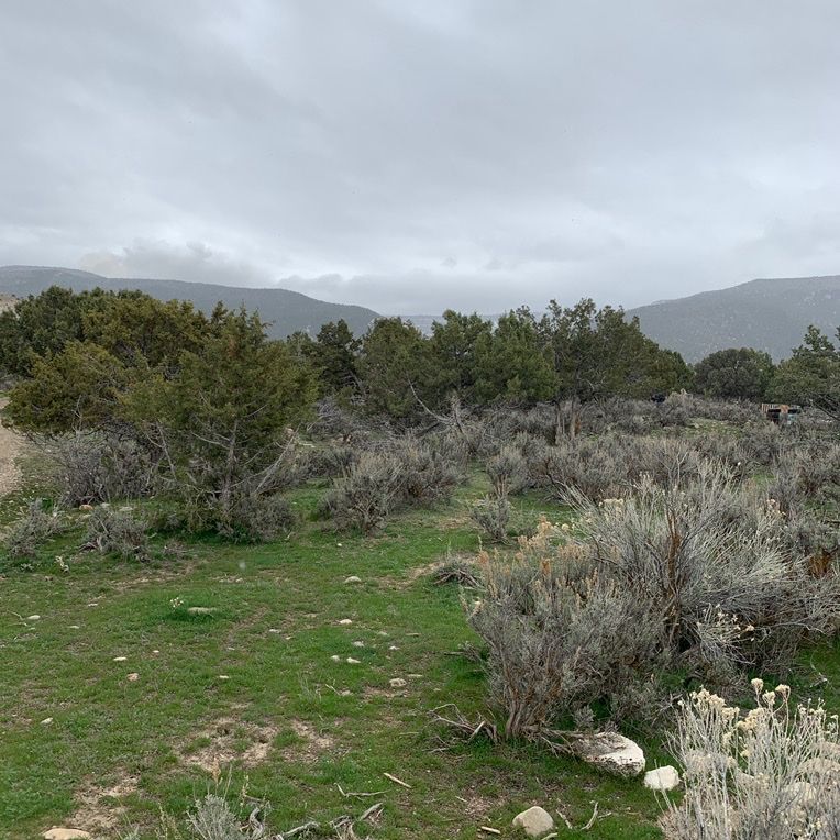 9 acres of raw land inside of Ephraim City limits price is per acre. And would prefer to sell the entire piece of property.