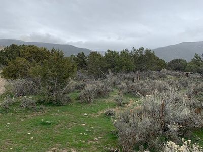 9 acres of raw land inside of Ephraim City limits price is per acre. And would prefer to sell the entire piece of property.