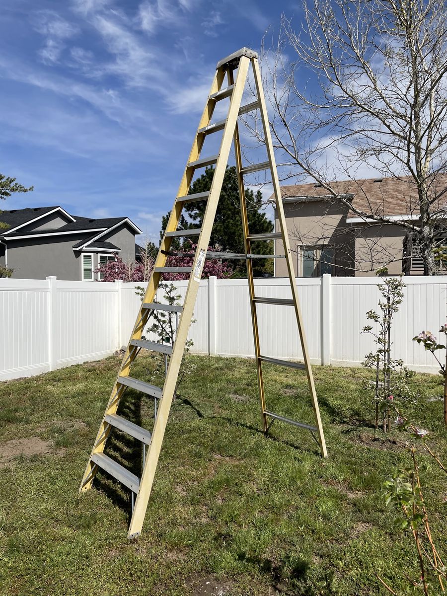 12' Ladder