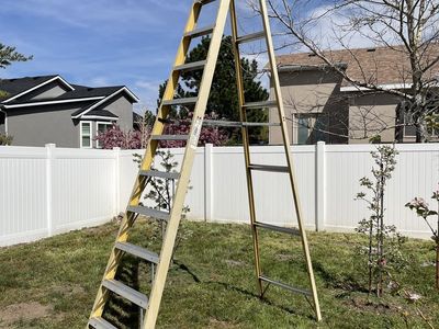 12' Ladder