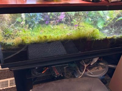 Terrarium with Stand