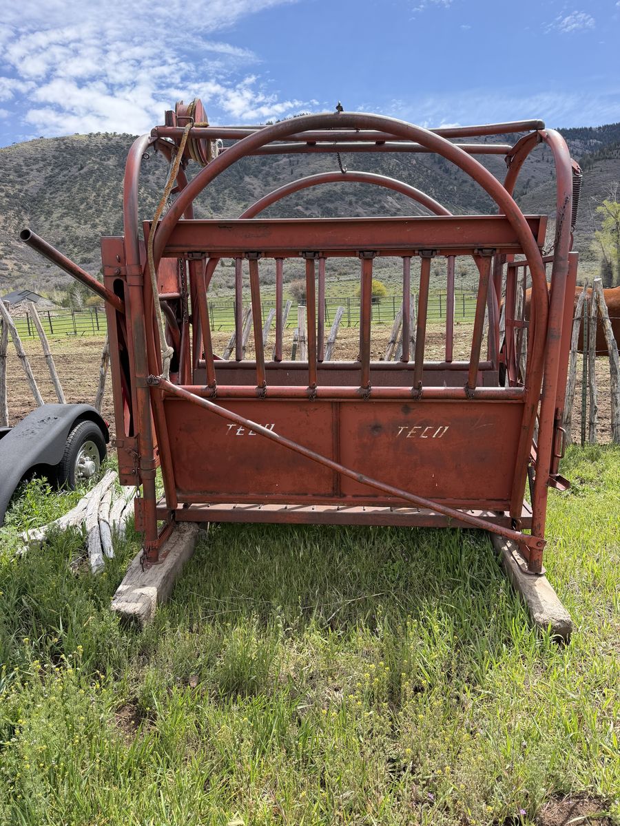 Cattle Squeeze chute