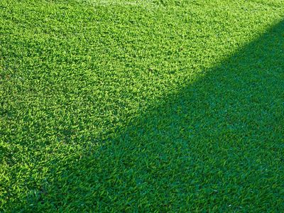 Landscaping, Painting, Junk Removal in Provo, Orem, Lindon, Pleasant Grove, American Fork, Highland, Alpine, Lehi, Draper