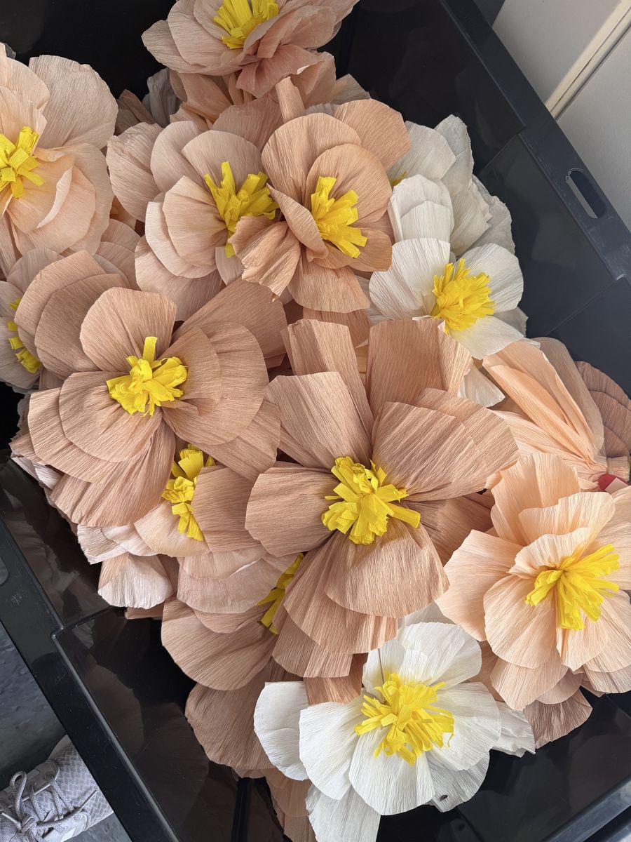 Crepe paper flowers 50+ gentle used
