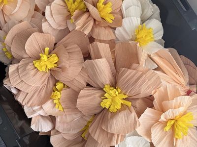 Crepe paper flowers 50+ gentle used