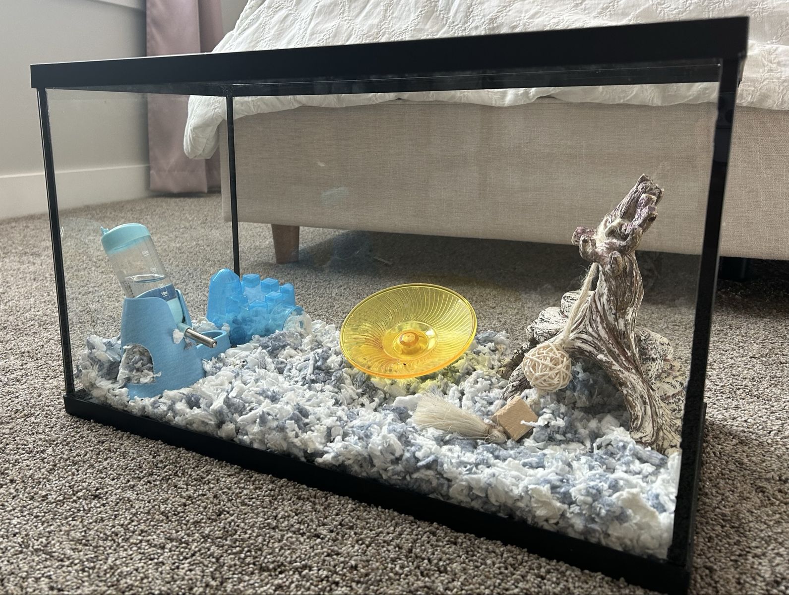 Dwarf Hamster Tank with Bedding, Food, Treats, and Accessories