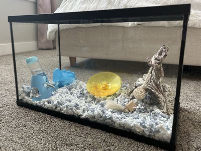 Dwarf Hamster Tank with Bedding, Food, Treats, and Accessories
