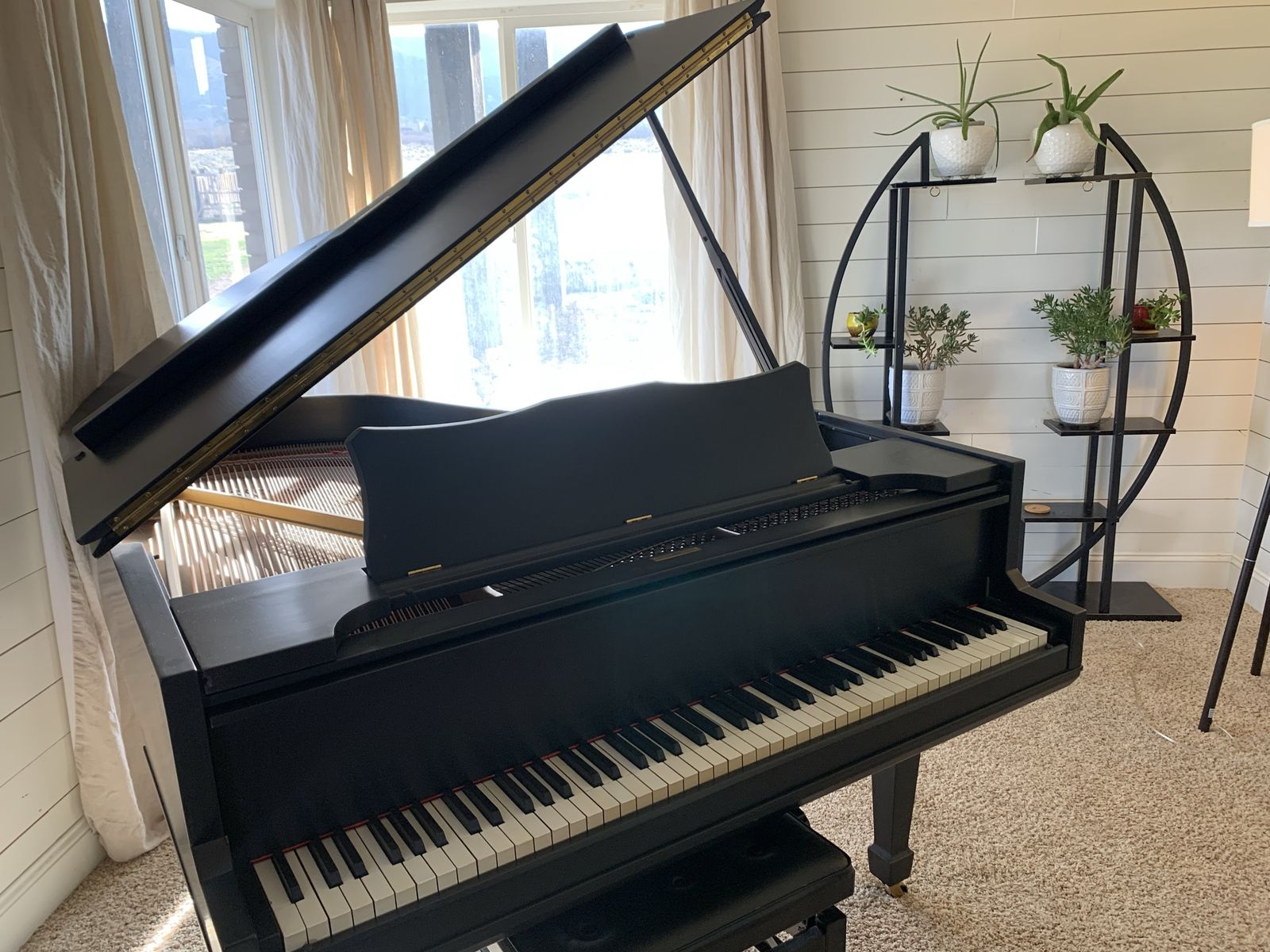 Sohmer & Co. "Cupid" Grand Piano – Excellent Condition.