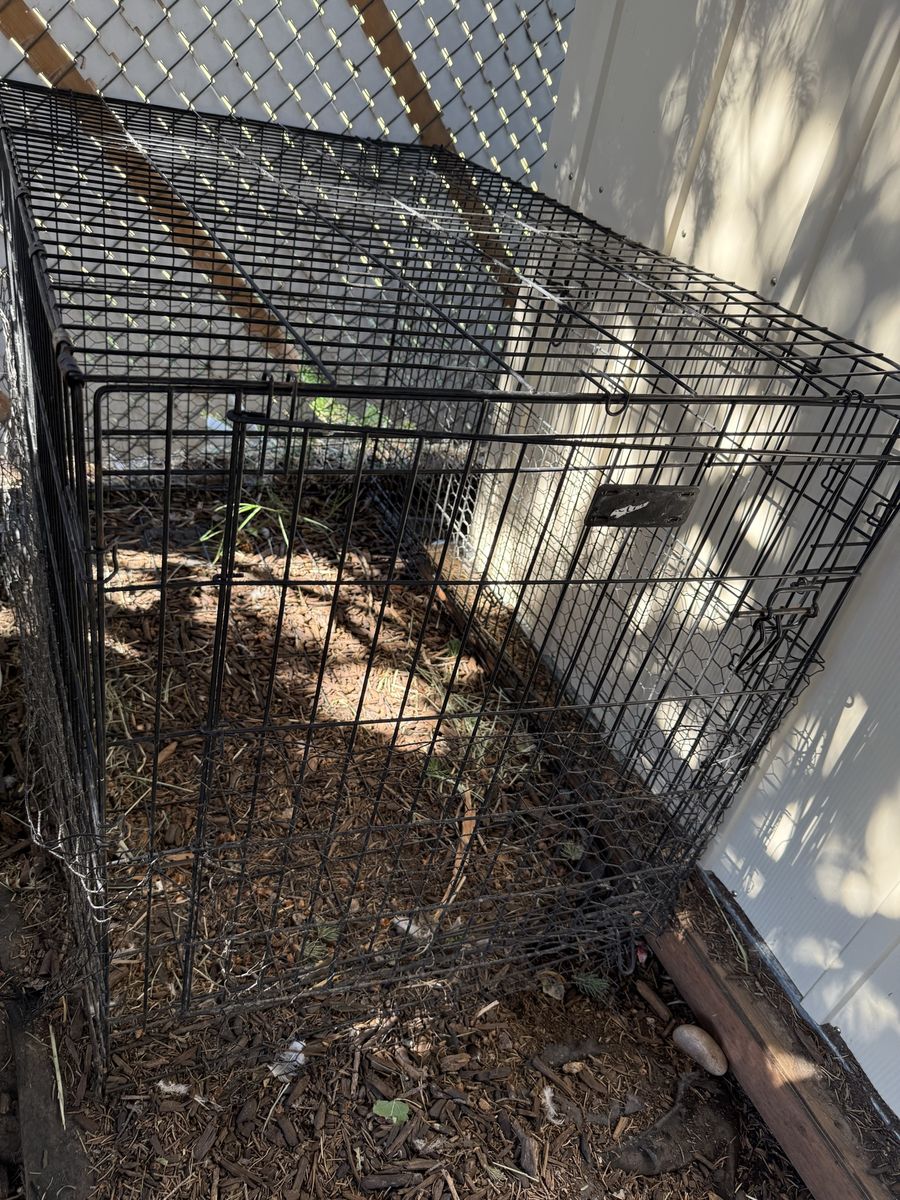 4’ Wire Cage