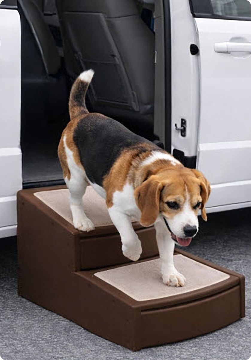 Easy Step II Extra Wide Pet Stairs