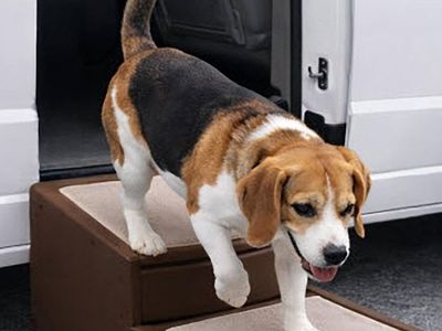 Easy Step II Extra Wide Pet Stairs