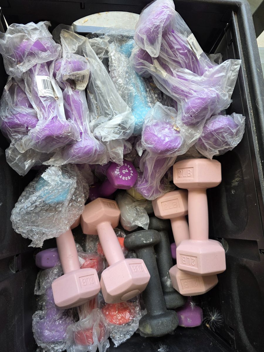 2 and 3 pound Weights