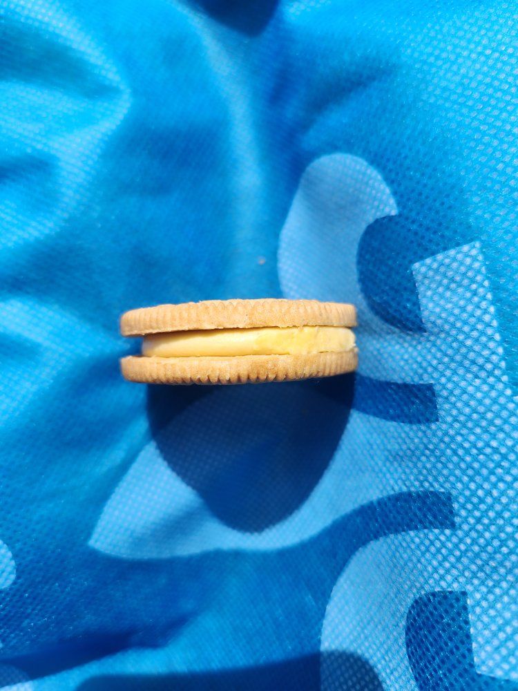 Maple OREO (brand new)