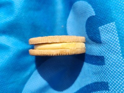 Maple OREO (brand new)
