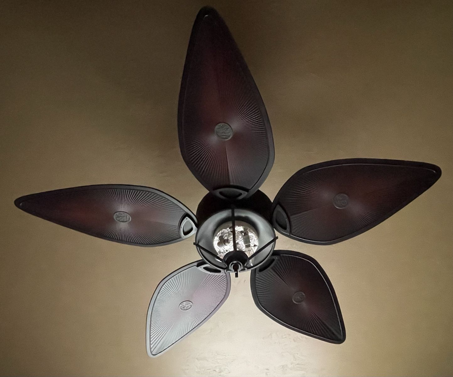 Hampton Bay San Lucas 56" Ceiling Fan with Light Kit & Remote Control indoor/outdoor- Used