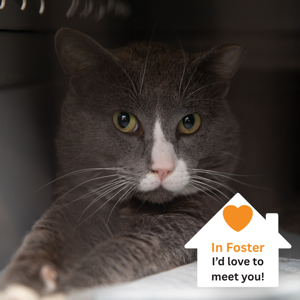 Hello my name is Athens