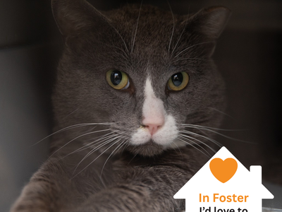 Hello my name is Athens